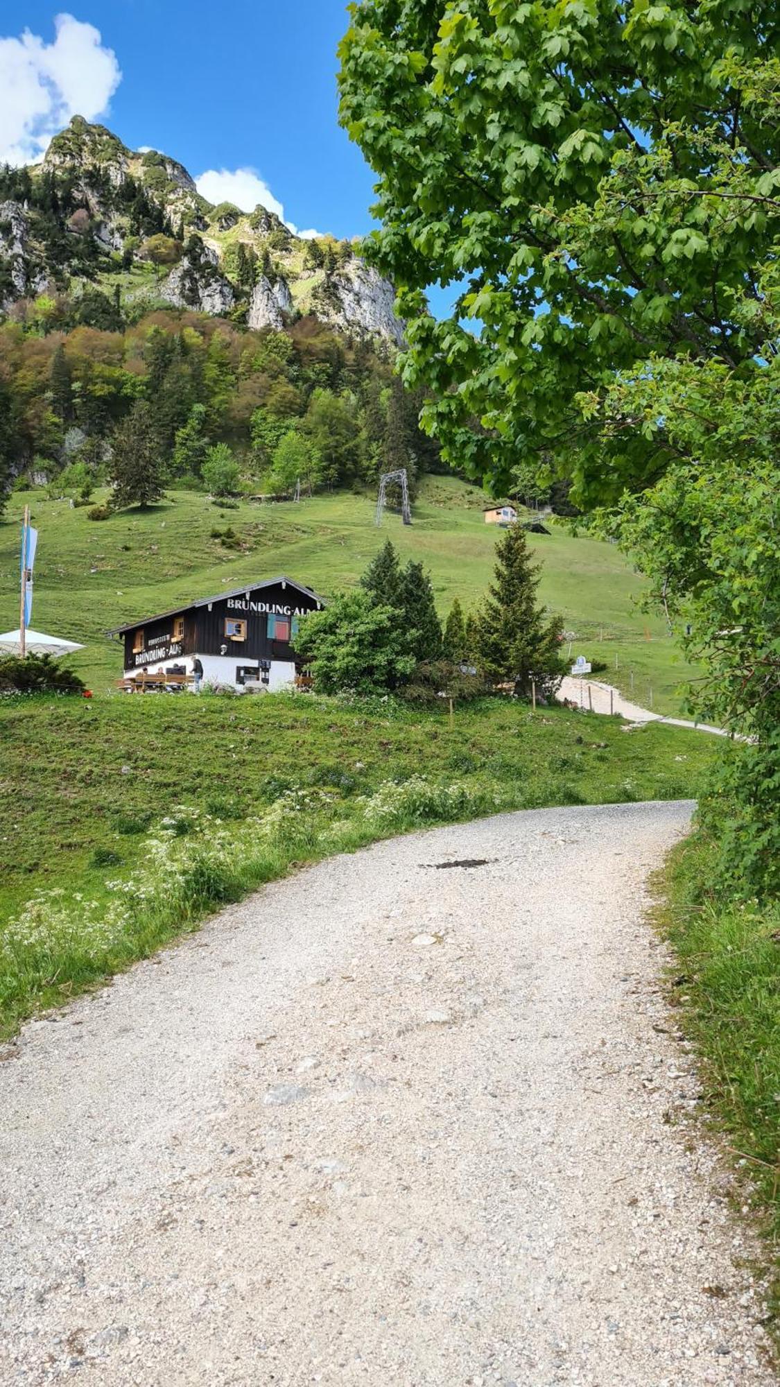 Bruendling-Alm Berggasthof Auf 1167M Auf Dem Hochfelln برغن المظهر الخارجي الصورة